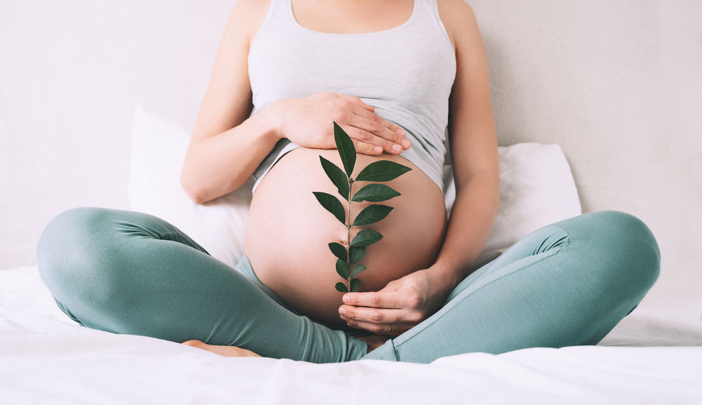 Leia mais sobre o artigo Como evitar estrias na gravidez? 5 dicas para preveni-las já!